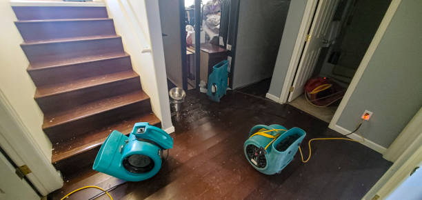 Best Water damage restoration insurance claims  in Ciborne, LA