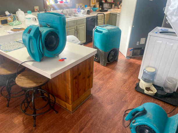 Best Flood damage cleanup  in Ciborne, LA