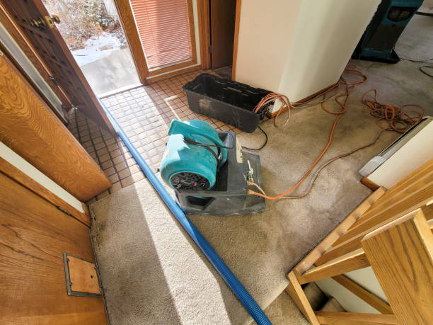 Best Water damage contractors near me  in Ciborne, LA