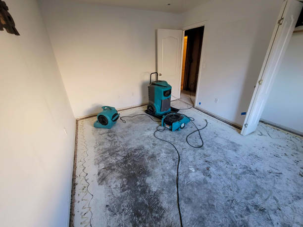 Best Mold removal after water damage  in Ciborne, LA