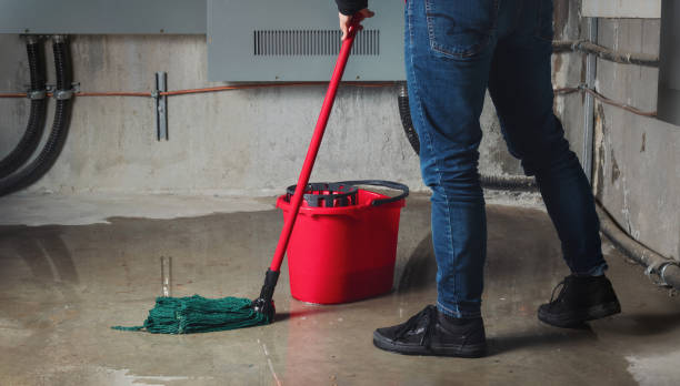 Best Professional water damage repair  in Ciborne, LA