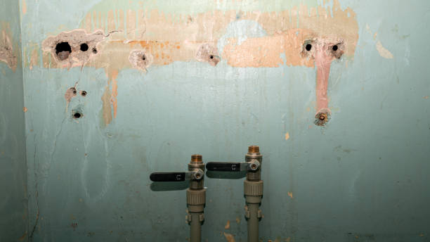 Professional Water damage restoration in LA