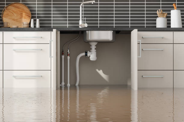 Best Local water damage restoration  in Ciborne, LA